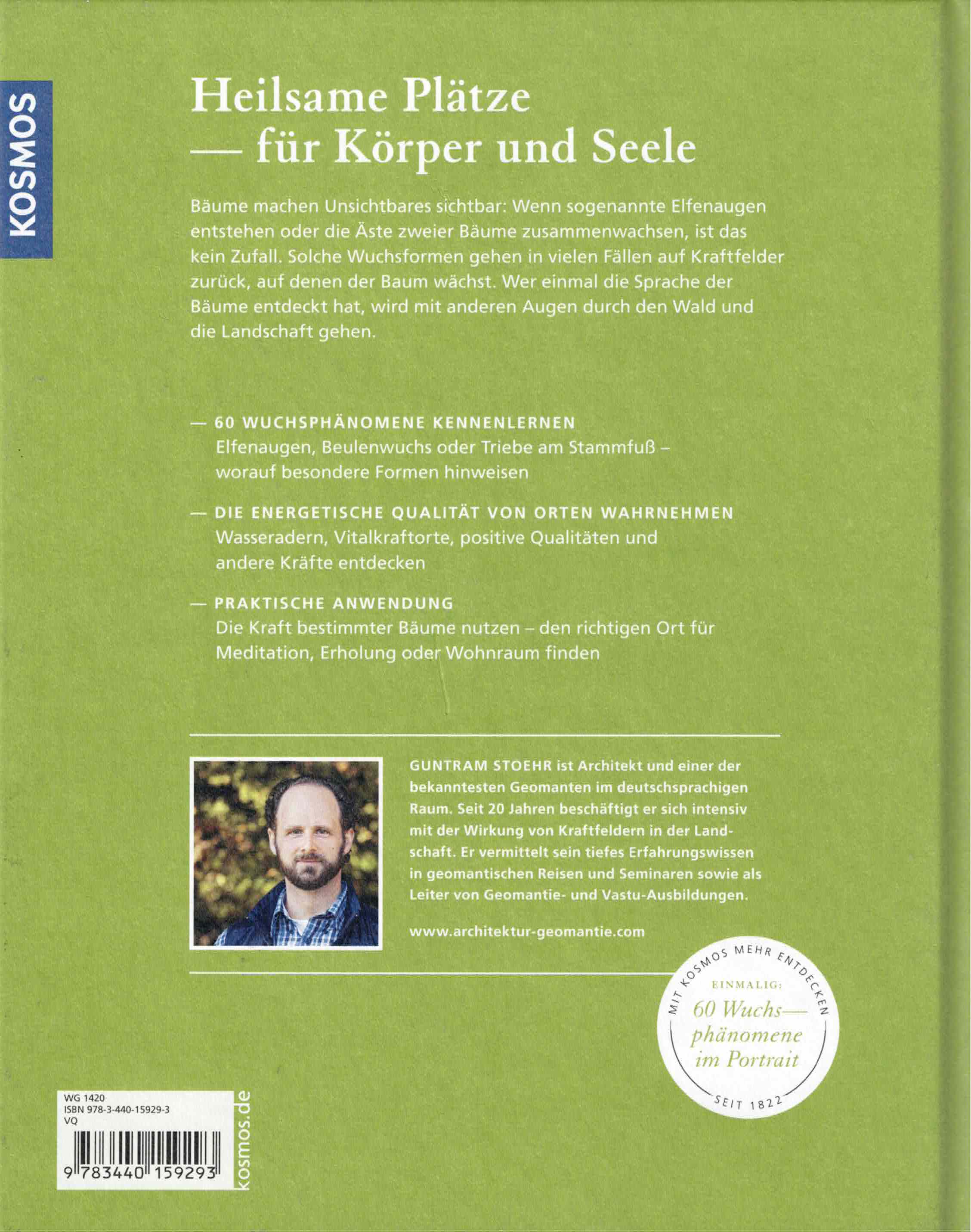 Bäume an Orten der Kraft